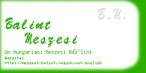 balint meszesi business card